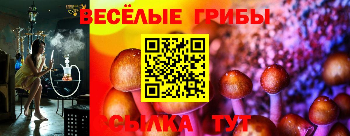Галлюциногенные грибы GOLDEN TEACHER Апатиты
